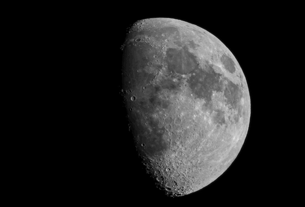 Bosbaden-Shinrin-yoku Hilversum Volle Maan Bosbaden