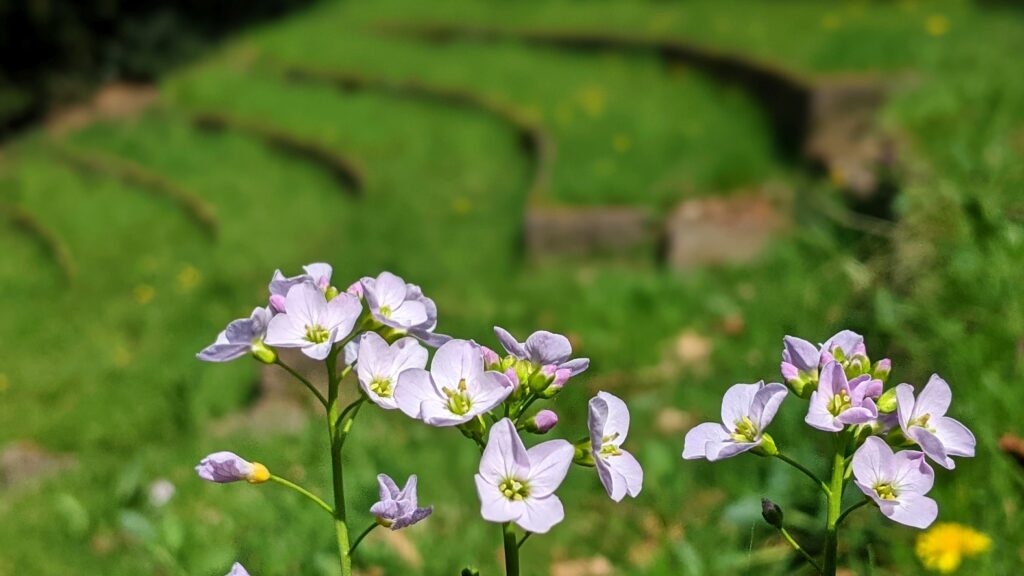 Training Mindfulness in de natuur, Hilversum